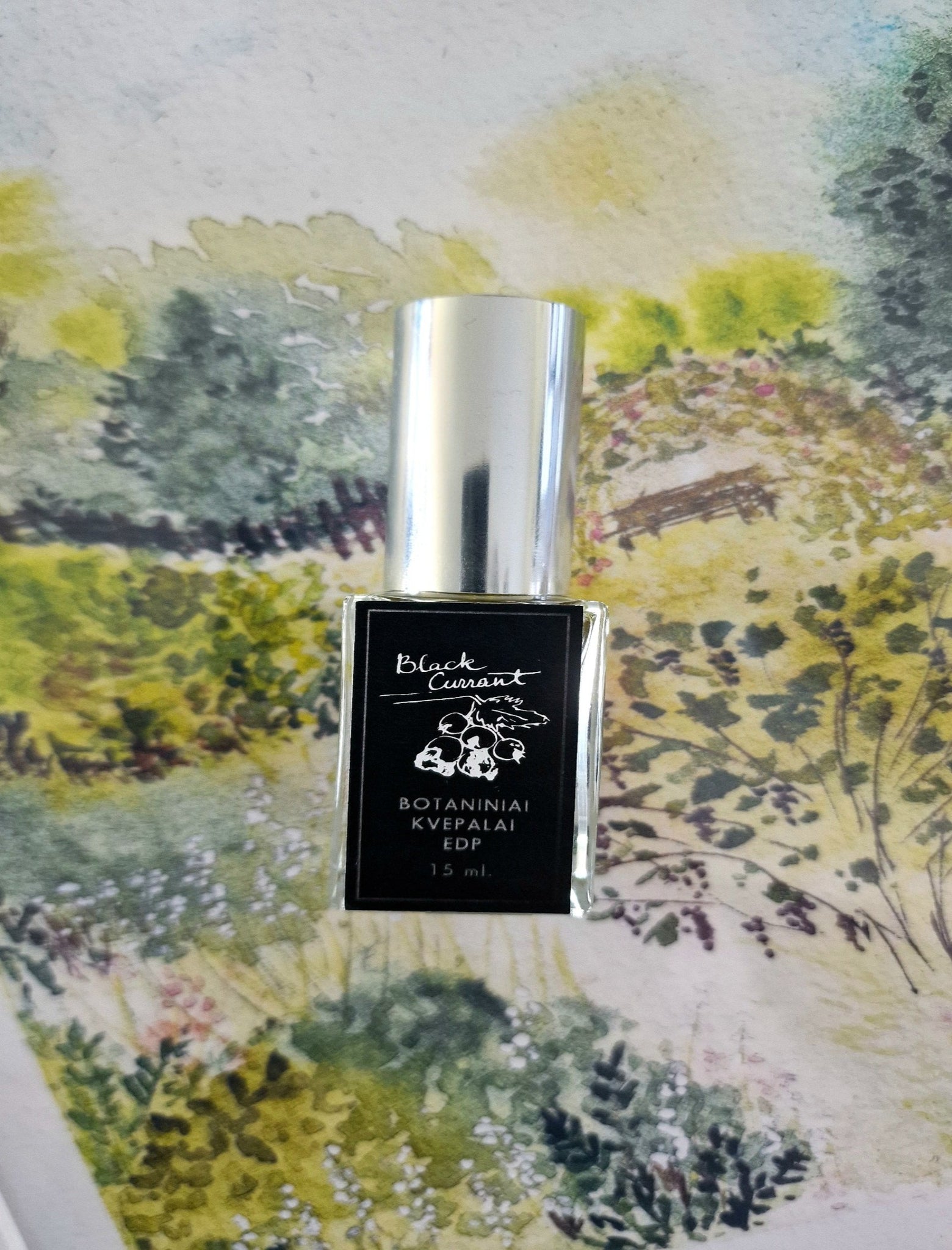 Botaniniai kvepalai " Black currant" 15 ml.